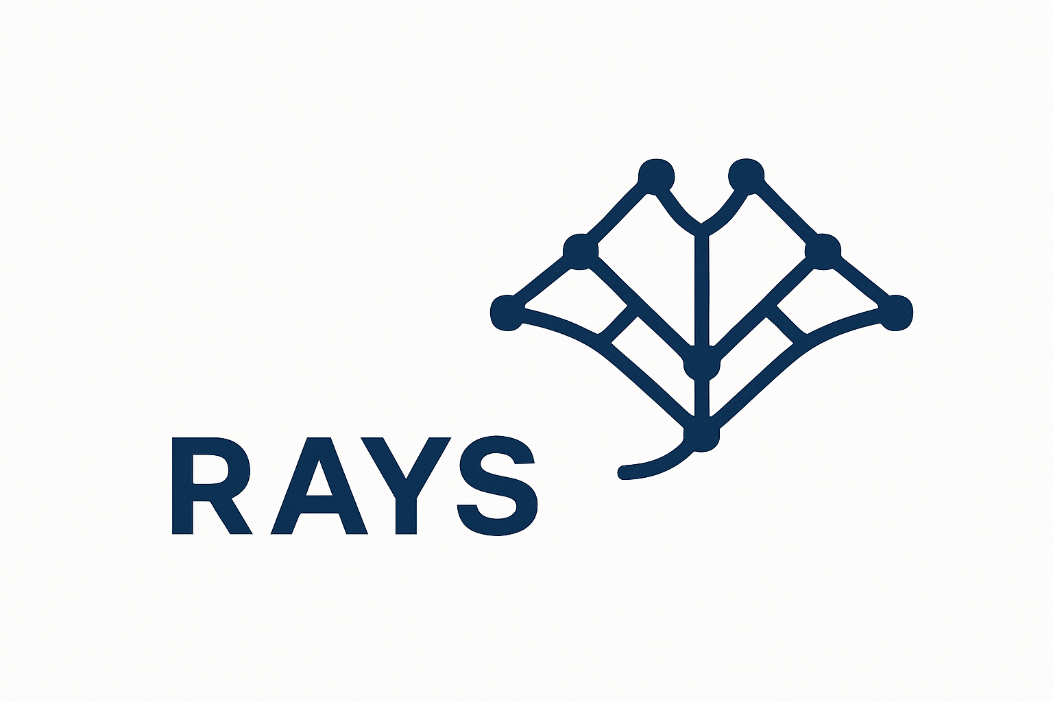 RAYS Charging Network Map